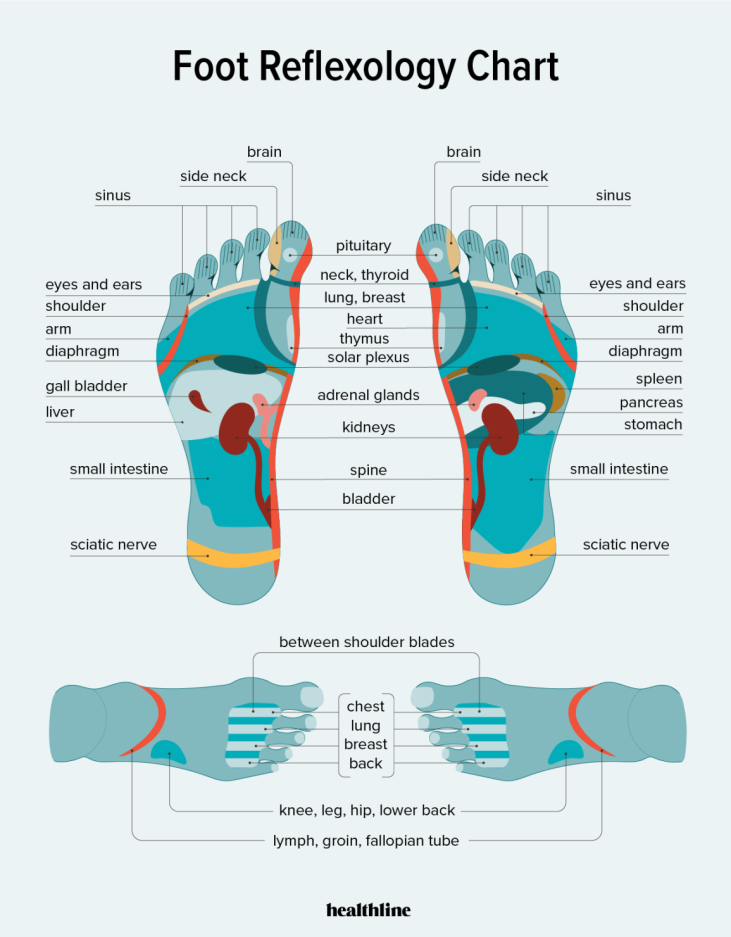 Foot reflexology chart illustrating pressure points on feet corresponding to body organs and systems, guiding therapeutic practices for wellness.